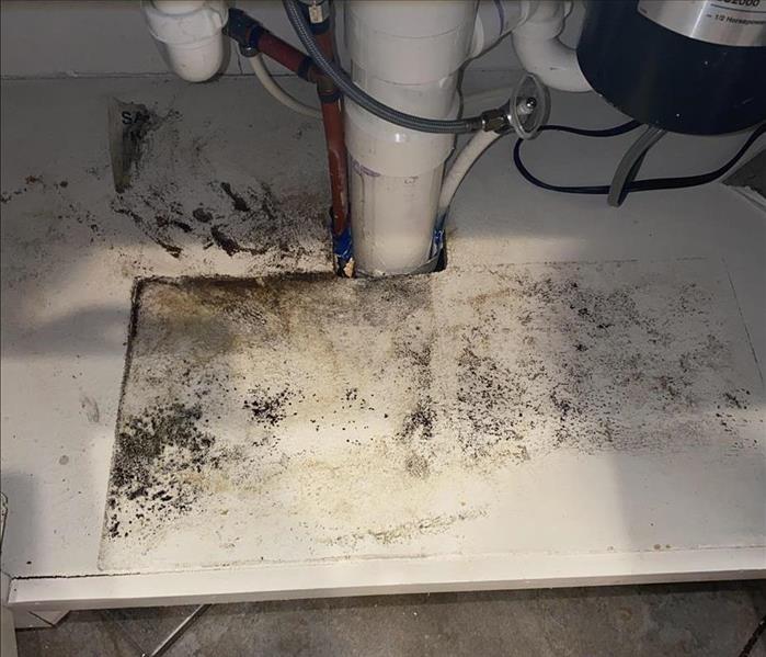 Water pipe underneath a sink with damage on the white wood underneath it.