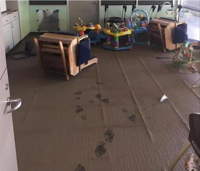Photo of interior of Houston Nursery Following Damage from Hurricane Harvey in 2017