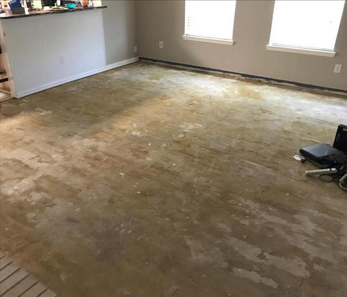 Room with flooring completely removed. 