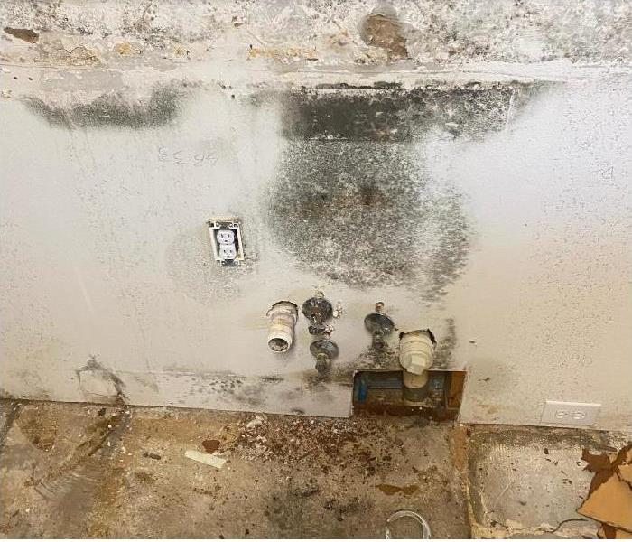 Mold Exposed In Residental Kitchen 