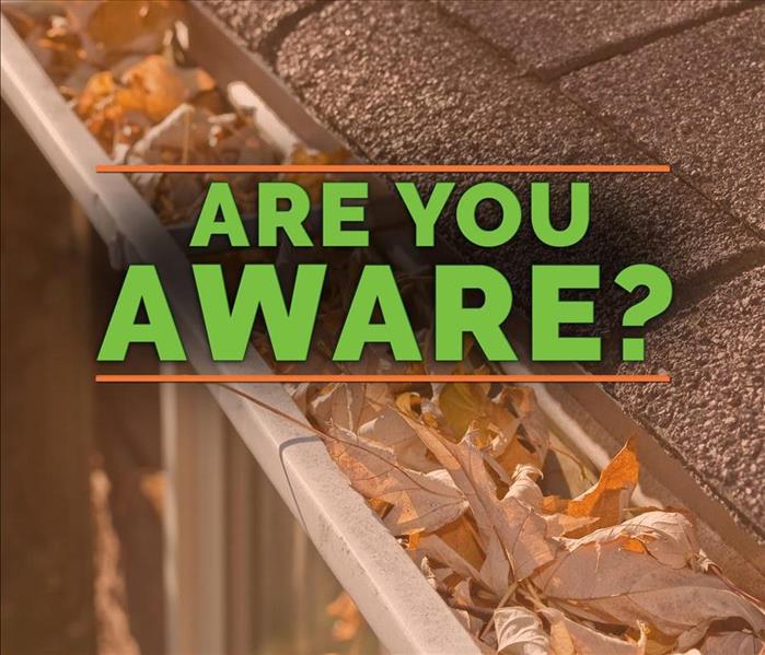 Leaves in rain gutter with the phrase ARE YOU AWARE?